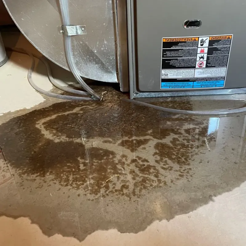 Pipe Burst and Leak Restoration in Mesilla, NM